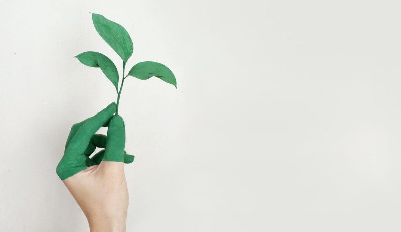 Energiahatékonysági tőkeprogramot indít a Hiventures