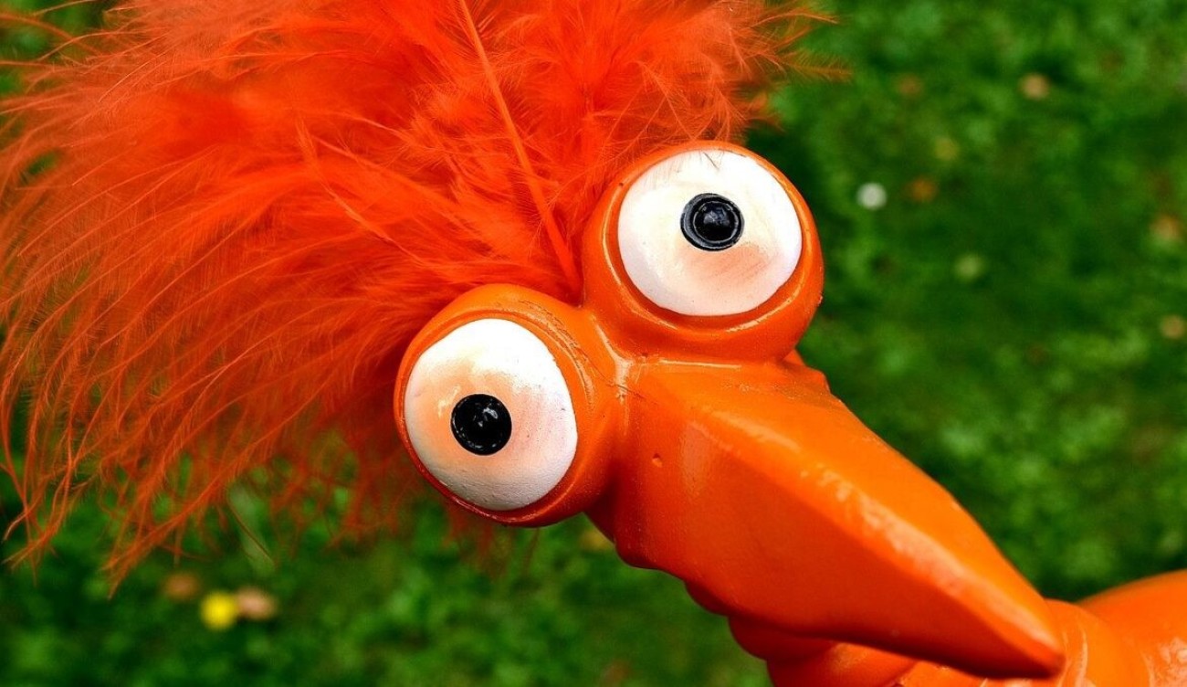 2024 legfurább befektetései