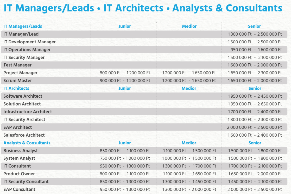 Bluebird IT Salary Guide 2026 _IT managers leaders